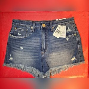 Studio Blue Jean Shorts Size 29